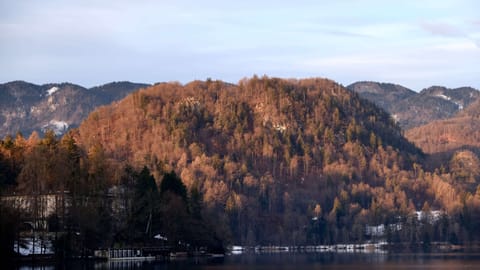 Lake Bled — DSCF4481 Cesta svobode, Slovenia | XF16-55mm f3.4 1/180s ISO320