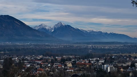 Lake Bled — DSCF4533 Grajska Cesta, Slovenia | XF16-55mm f5.0 1/490s ISO160