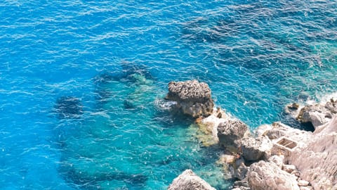 Capri — DSCF4051 Via Krupp, Italy | XF90mm f6.6 1/84s ISO800