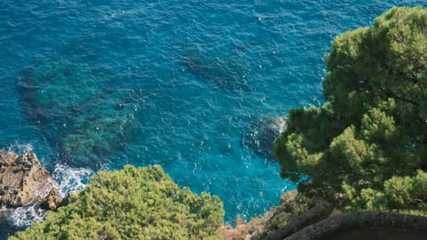 Capri — DSCF4107 Via Krupp, Italy | XF16-55mm f8.9 1/110s ISO800
