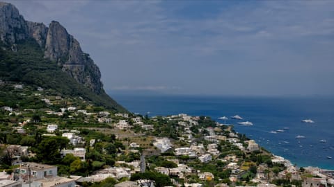 Capri — DSCF4193 Salumeria Capri Rosticceria, Via Roma, Capri | XF16-55mm f7.6 1/530s ISO320