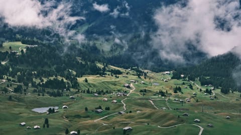 Seceda — DSCF0513 Adolf-Munkel-Weg, Villnöß - Funes, Italy | XF16-55mm f6.3 1/530s ISO500