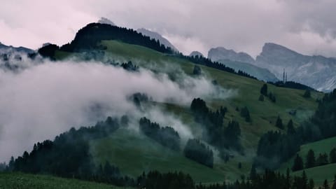 Alpe di Siusi — DSCF7910 Compatsch, Kastelruth - Castelrotto, South Tyrol | XF90mm f7.4 1/280s ISO500
