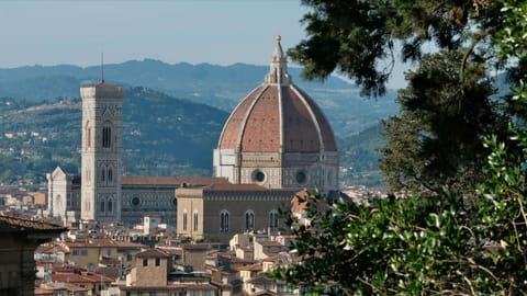 Florence — DSCF2809 Boboli Gardens, Giardino delle Camelie, Florence | XF90mm f8.0 1/210s ISO800