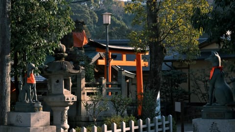 Kyoto — DSCF7207 Fukakusa-Moriyoshicho, Fushimi Ward, Kyoto | XF16-55mm f8.9 1/99s ISO800