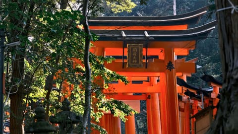 Kyoto — DSCF7276 Fukakusa-Kaidoguchicho, Fushimi Ward, Kyoto | XF90mm f6.0 1/38s ISO800