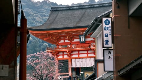 Kyoto — DSCF8006 Kiyomizu 1-chōme, Higashiyama Ward, Kyoto | XF90mm f8.0 1/270s ISO3200