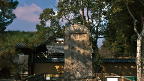 Nara — DSCF7019 Nara, Nara Prefecture, Japan | XF16-55mm f8.9 1/120s ISO320