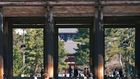 Nara — DSCF7620 Suimoncho, Nara, Japan | XF90mm f7.4 1/85s ISO800