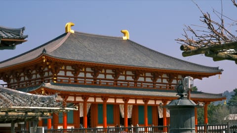 Nara — DSCF7765 Nara, Nara Prefecture, Japan | XF16-55mm f8.9 1/170s ISO500