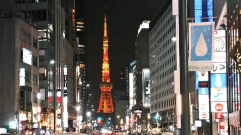 Tokyo — DSCF8468 Roppongi 3, Minato, Tokyo | XF16-55mm f8.0 0.2s ISO3200