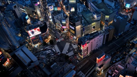 Tokyo — DSCF8917 Shibuya Scramble Square, 渋谷区, Tokyo | XF16-55mm f4.0 1/91s ISO800
