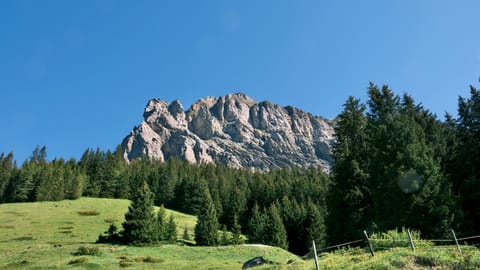 Kandersteg — DSCF8277 Oeschistrasse, Switzerland | XF16-55mm f6.9 1/130s ISO320