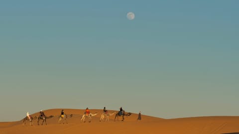 Morocco — DSCF0348 Desert Camp, Et-taous, Cercle dEr-Rissani | XF90mm f5.0 1/1200s ISO160