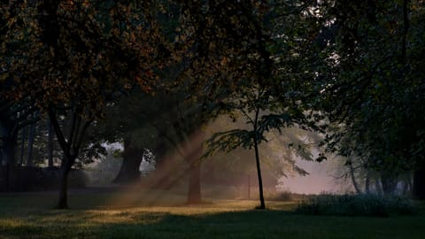 Oxford — DSCF6742 Christ Church Meadow, Oxford, UK | XF90mm f6.3 1/270s ISO800