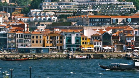 Porto — DSCF1618 Infante, Centro Histórico, Porto | XF90mm f6.6 1/270s ISO640