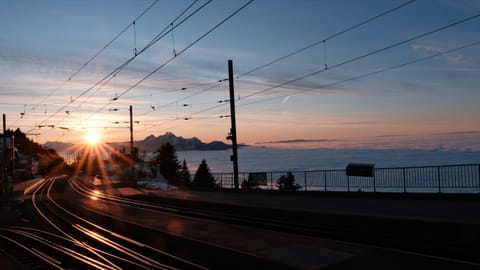 Rigi — DSCF5721 Rigi Staffel, Staffelhöheweg, Arth | XF16-55mm f7.6 1/160s ISO320