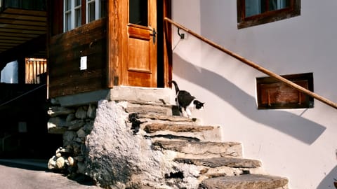 Wengen — DSCF9091 Schleif, Wengen, Switzerland | XF16-55mm f8.9 1/100s ISO800