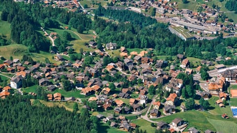 Wengen — DSCF9205 Gemsenweg, Wengen, Switzerland | XF90mm f6.9 1/250s ISO800