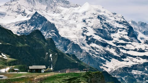 Wengen — DSCF9291 Gemsenweg, Wengen, Switzerland | XF16-55mm f8.9 1/150s ISO640